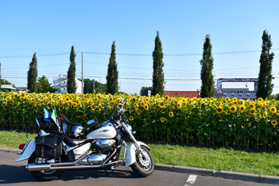 2019年度 124駅 ガチャピンズラリー達成者