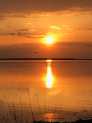 2019年度 124駅 ガチャピンズラリー達成者