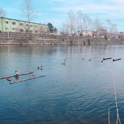 2019年度 124駅 ガチャピンズラリー達成者