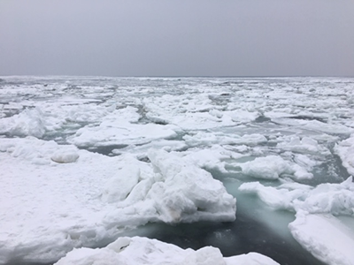 2019年度 124駅 ガチャピンズラリー達成者
