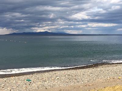 2019年度 124駅 ガチャピンズラリー達成者