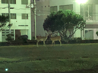2019年度 124駅 ガチャピンズラリー達成者