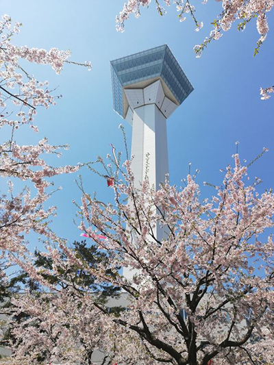 2019年度 124駅 ガチャピンズラリー達成者