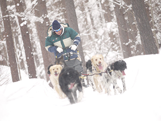 2019年度 124駅 ガチャピンズラリー達成者