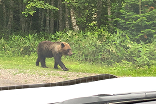 2019年度 124駅 ガチャピンズラリー達成者