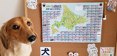 2019年度 124駅 ガチャピンズラリー達成者