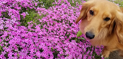 2019年度 124駅 ガチャピンズラリー達成者