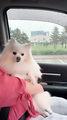 2019年度 124駅 ガチャピンズラリー達成者