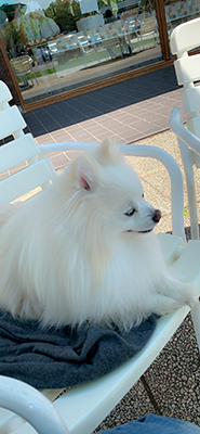 2019年度 124駅 ガチャピンズラリー達成者