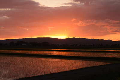 2019年度 124駅 ガチャピンズラリー達成者