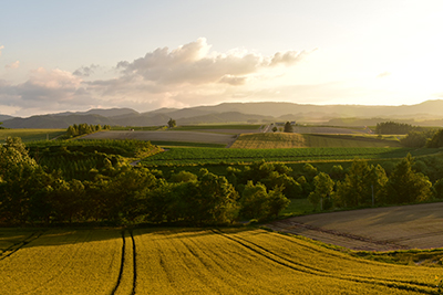 2019年度 124駅 ガチャピンズラリー達成者