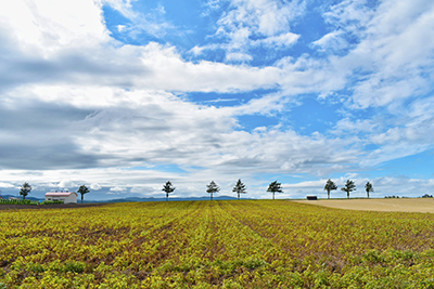 2019年度 124駅 ガチャピンズラリー達成者