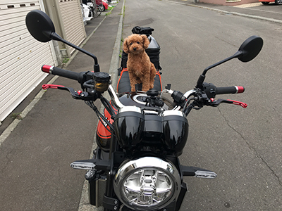 2019年度 124駅 ガチャピンズラリー達成者