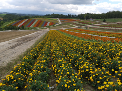 2020年度 127駅 ガチャピンズラリー達成者
