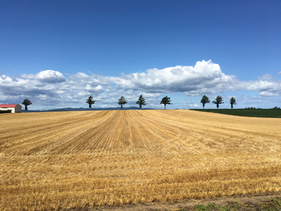 2020年度 127駅 ガチャピンズラリー達成者
