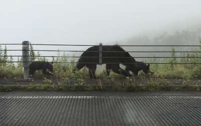 2020年度 127駅 ガチャピンズラリー達成者