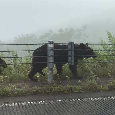 2020年度 127駅 ガチャピンズラリー達成者