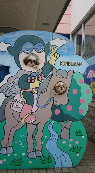 2020年度 127駅 ガチャピンズラリー達成者