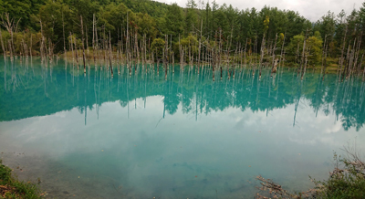 2020年度 127駅 ガチャピンズラリー達成者