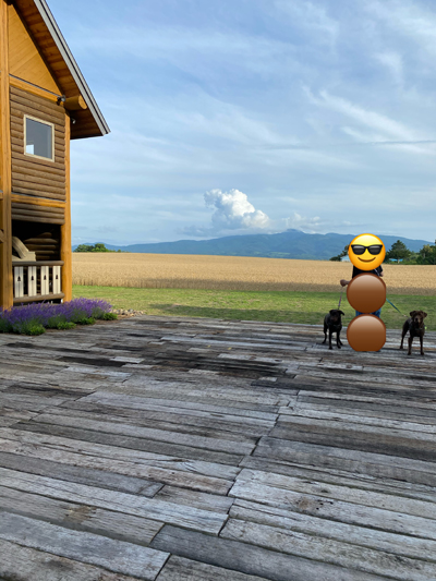 2020年度 127駅 ガチャピンズラリー達成者