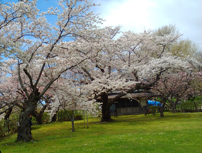 2020年度 127駅 ガチャピンズラリー達成者