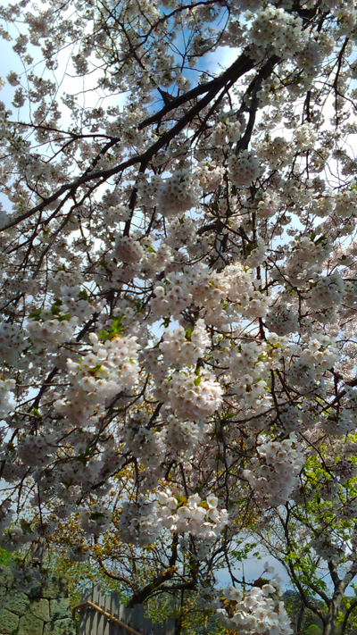 2020年度 127駅 ガチャピンズラリー達成者