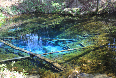 2020年度 127駅 ガチャピンズラリー達成者