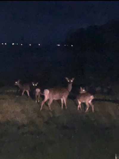 2020年度 127駅 ガチャピンズラリー達成者