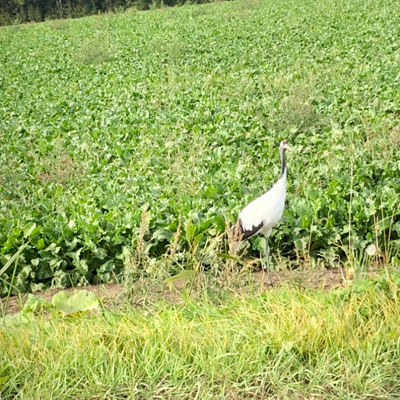 2020年度 127駅 ガチャピンズラリー達成者