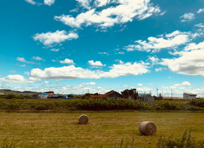 2020年度 127駅 ガチャピンズラリー達成者