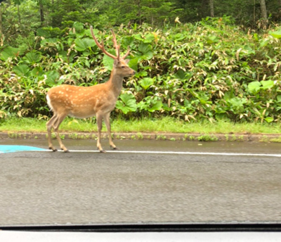 2020年度 127駅 ガチャピンズラリー達成者