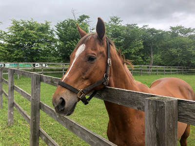 2020年度 127駅 ガチャピンズラリー達成者