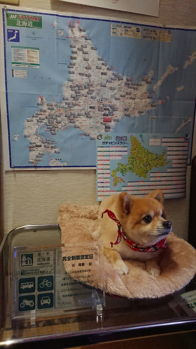 2020年度 127駅 ガチャピンズラリー達成者