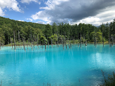 2020年度 127駅 ガチャピンズラリー達成者