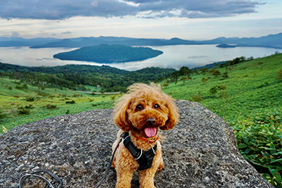 2020年度 127駅 ガチャピンズラリー達成者