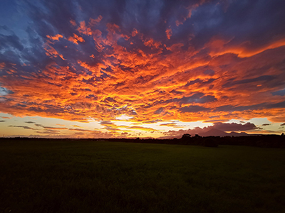 2020年度 127駅 ガチャピンズラリー達成者