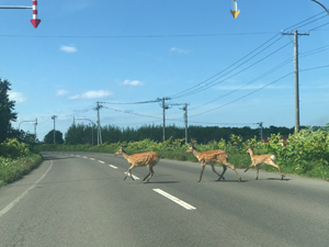 2020年度 127駅 ガチャピンズラリー達成者