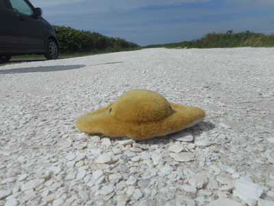 2020年度 127駅 ガチャピンズラリー達成者