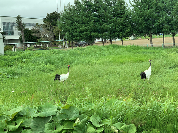2021年度 129駅 ガチャピンズラリー達成者