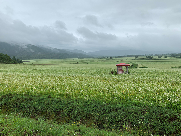2021年度 129駅 ガチャピンズラリー達成者