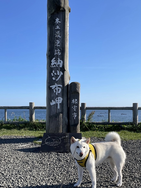 2021年度 129駅 ガチャピンズラリー達成者