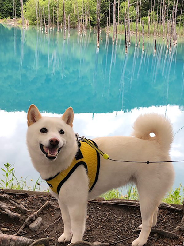 2021年度 129駅 ガチャピンズラリー達成者