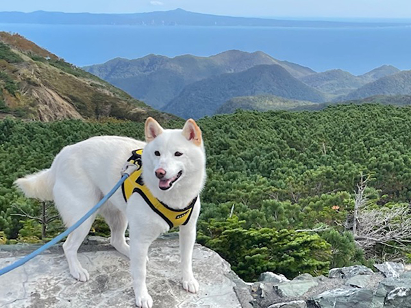 2021年度 129駅 ガチャピンズラリー達成者