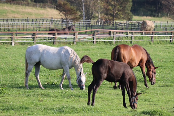 2021年度 129駅 ガチャピンズラリー達成者