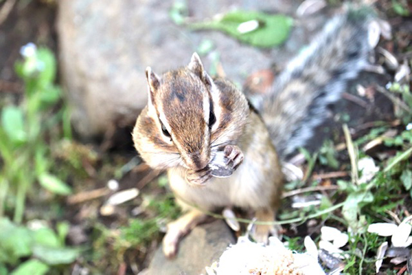 2021年度 129駅 ガチャピンズラリー達成者