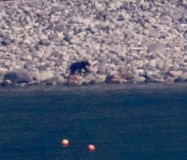 2021年度 129駅 ガチャピンズラリー達成者