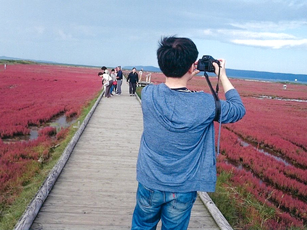 2021年度 129駅 ガチャピンズラリー達成者