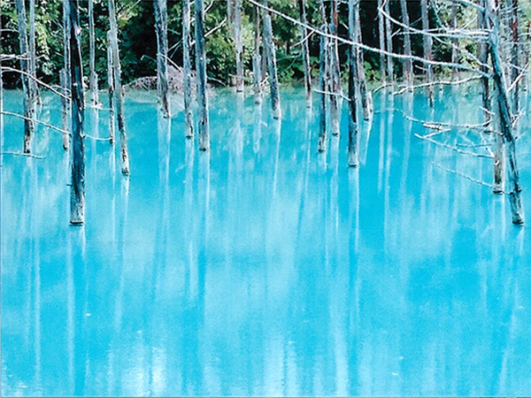 2021年度 129駅 ガチャピンズラリー達成者