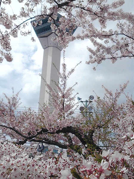 2021年度 129駅 ガチャピンズラリー達成者
