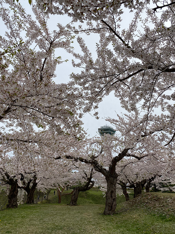 2021年度 129駅 ガチャピンズラリー達成者